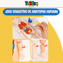 Jogo Educativo de Anatomia Humana - Mini Doutor