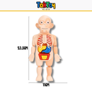 Jogo Educativo de Anatomia Humana - Mini Doutor