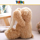 Urso Animado Esconde-Esconde - O Companheiro Perfeito para Momentos de Diversão!